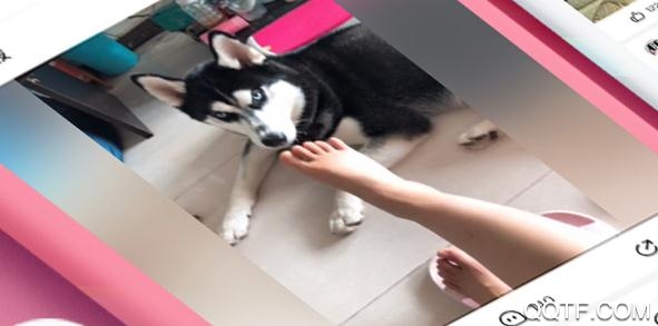 皮皮虾app红包版