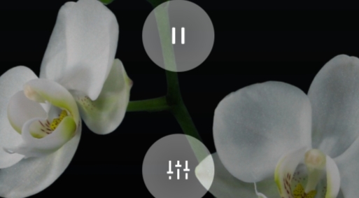 oppo relax安装包app
