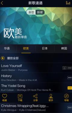 Dso Music最新版