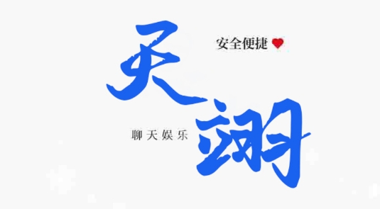 天翊app即时聊天最新版 天翊app即时聊天最新版
