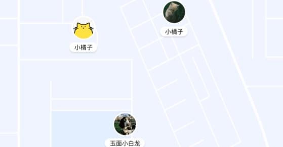 thinkpet铲屎官交友app最新版