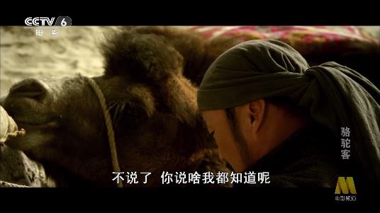 小白电视TVApp 小白电视TVApp