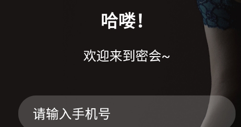 密会交友最新版 密会交友最新版