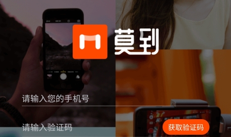 莫到交友最新版