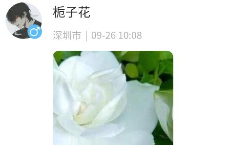 深夜漂流瓶安卓版 深夜漂流瓶安卓版