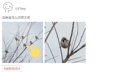 糖言蜜语app安卓版