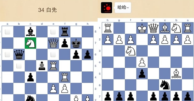 国际象棋联盟app安卓版