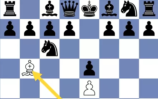 国际象棋联盟app安卓版