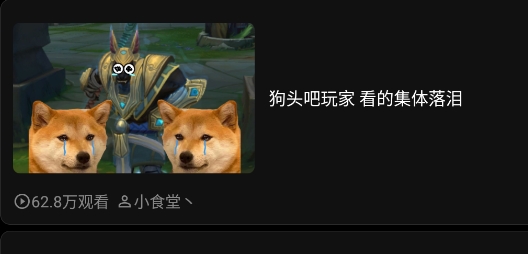 哔哩终端手表版